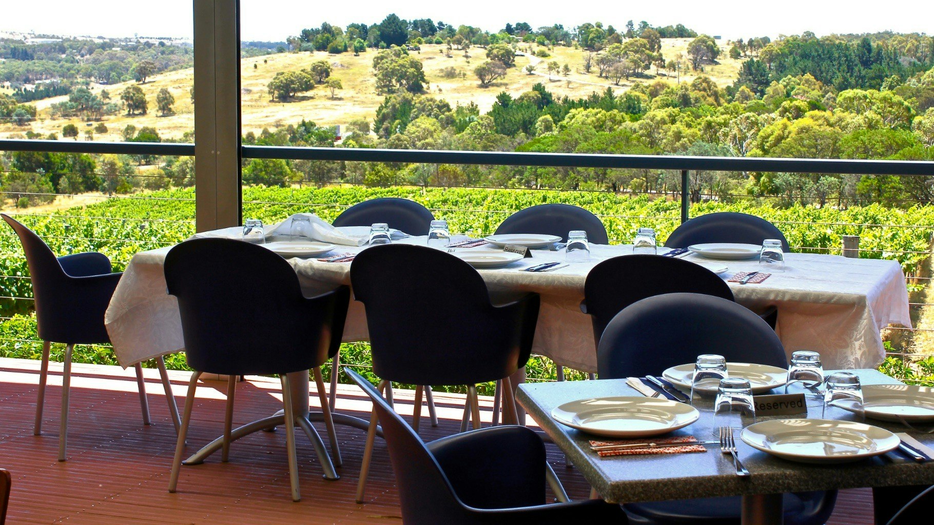 Restaurant seating overlooking a vineyard.